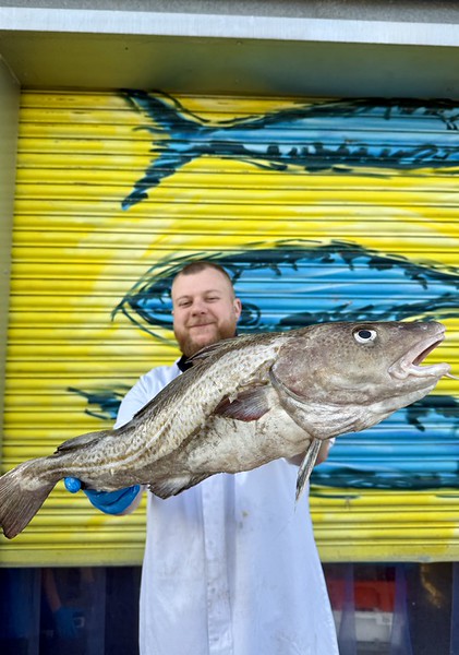 Market Pick - Cod 2.3kg