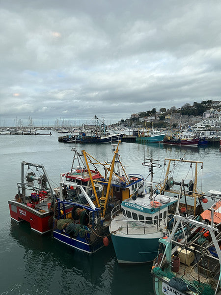 Market Picks of Today