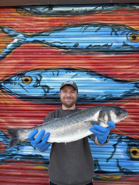 Market Pick - Sea Bass 2kg