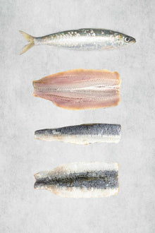 Butterflied Sardines - Frozen - MSC