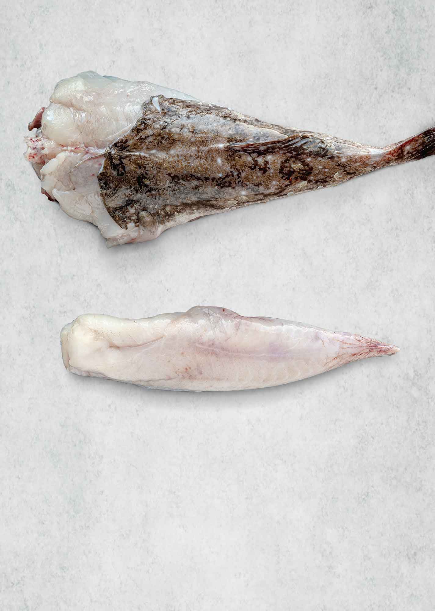 Monkfish fillet prepared by Rockfish