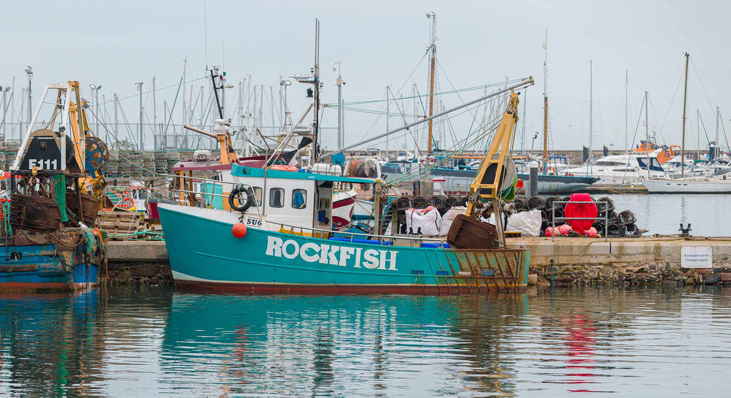 Rockfisher moored up at Brixham quayside
