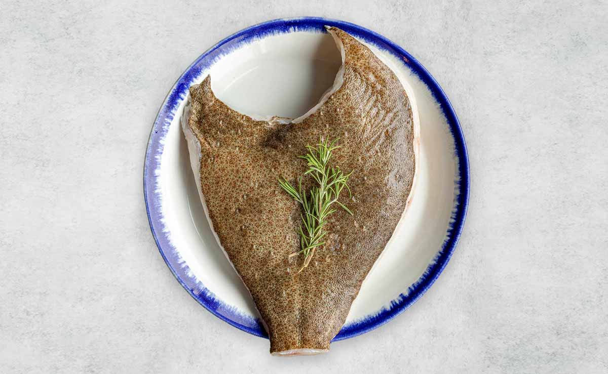 Turbot sharer - mobile