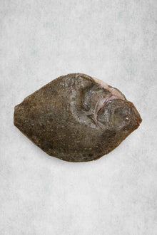 Whole Turbot for one, trimmed and prepared