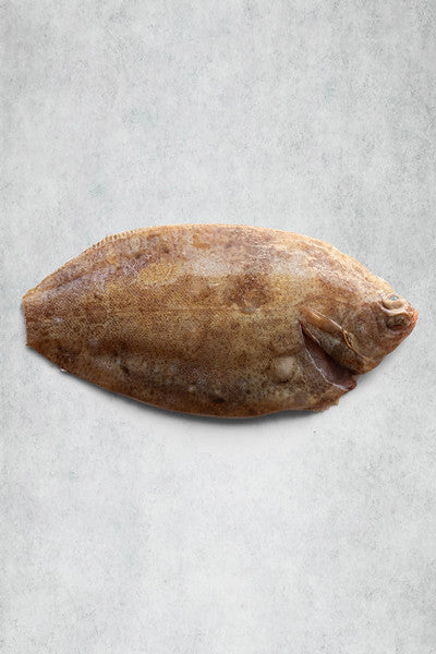 Lemon Sole Whole