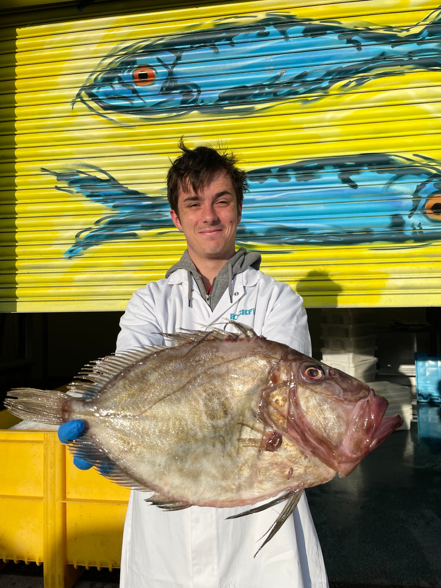 Market Pick - John Dory 1.1kg