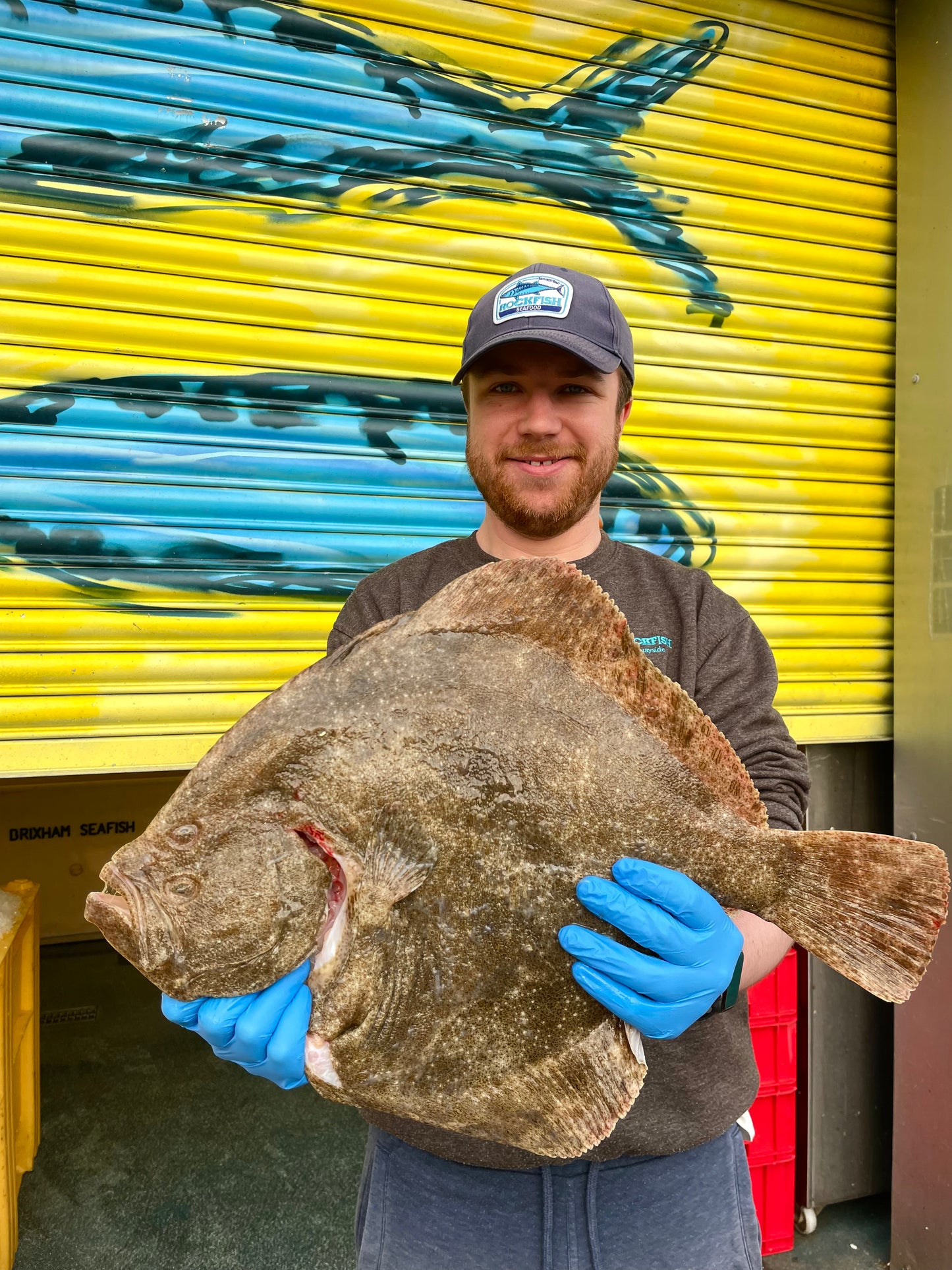 Market Pick - Turbot 2.4 kg