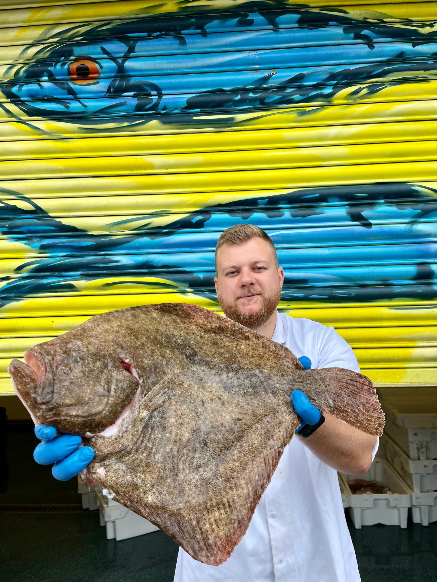Market Pick - Turbot 2.1kg