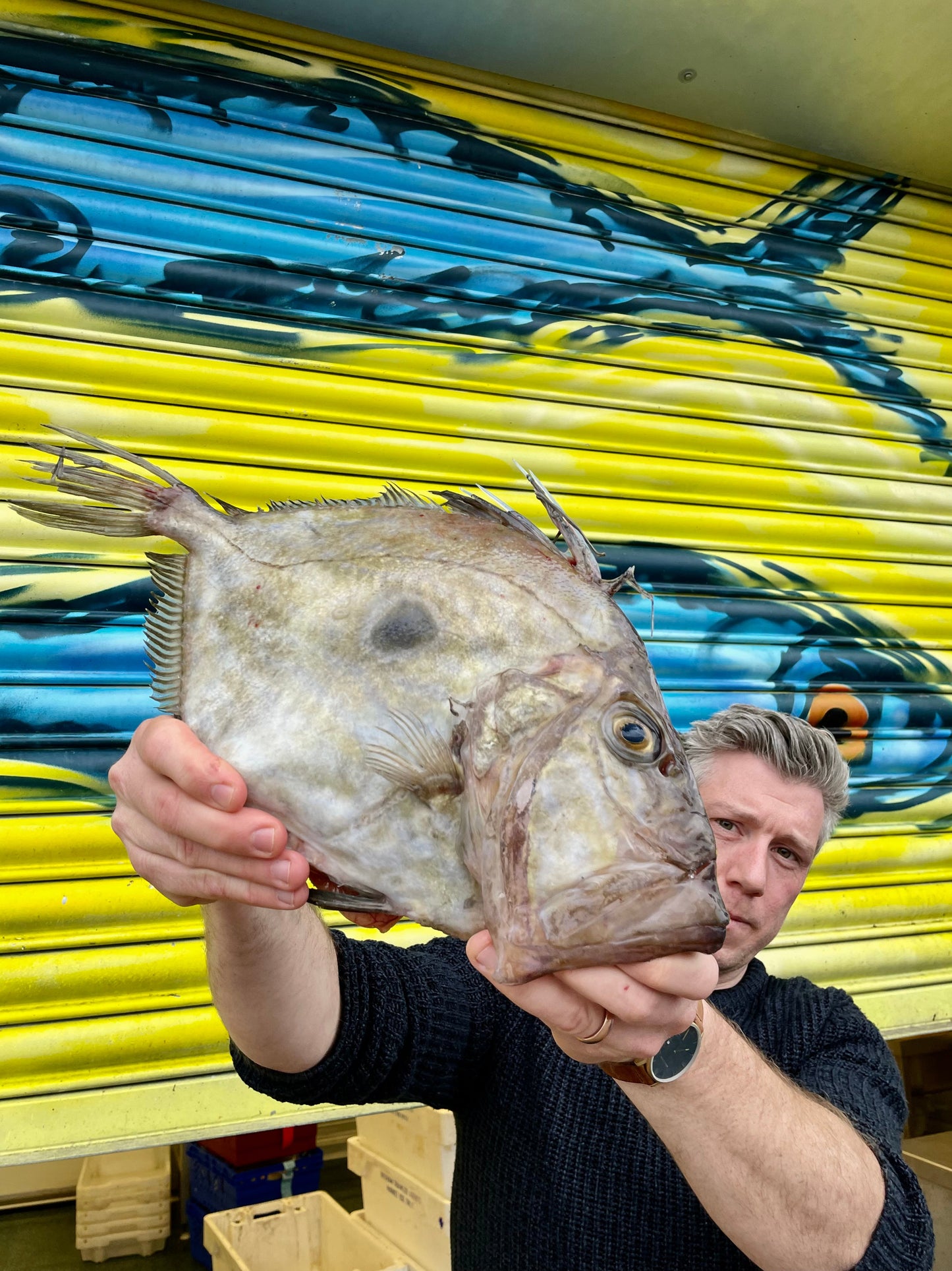 Market Pick - John Dory 1.2kg