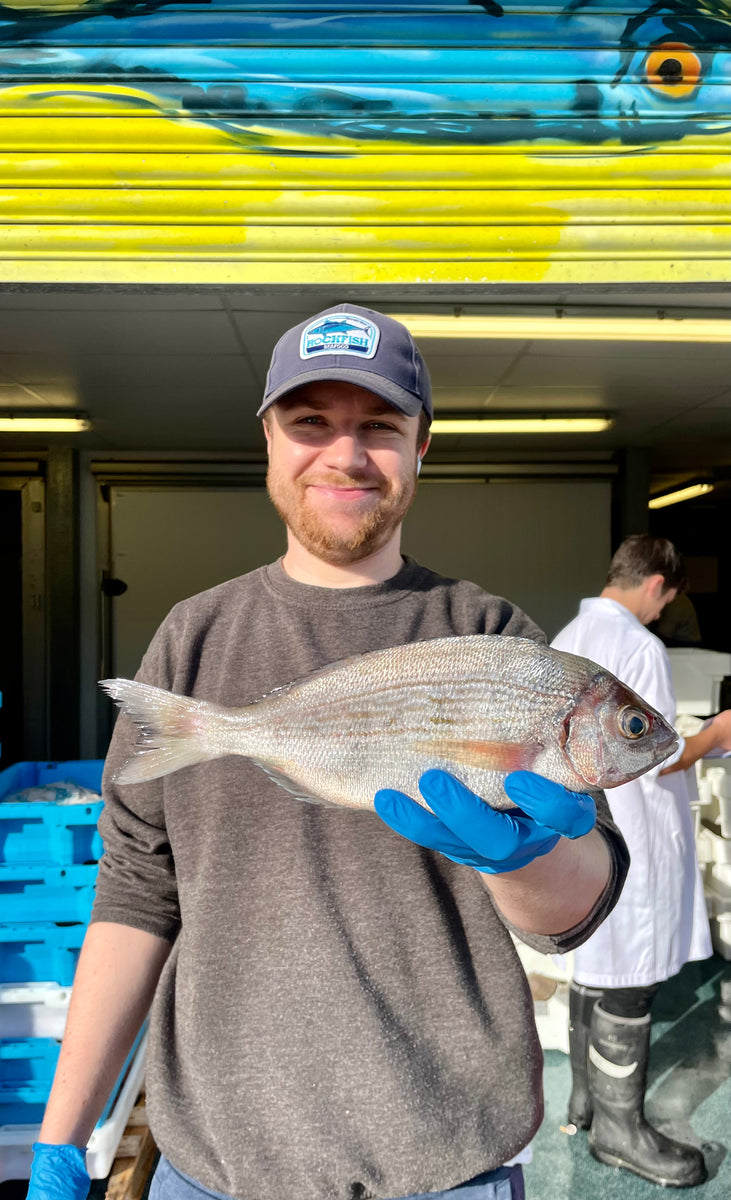 Wild Gilt Head Sea Bream Fillets Fresh sustainable fish delivered