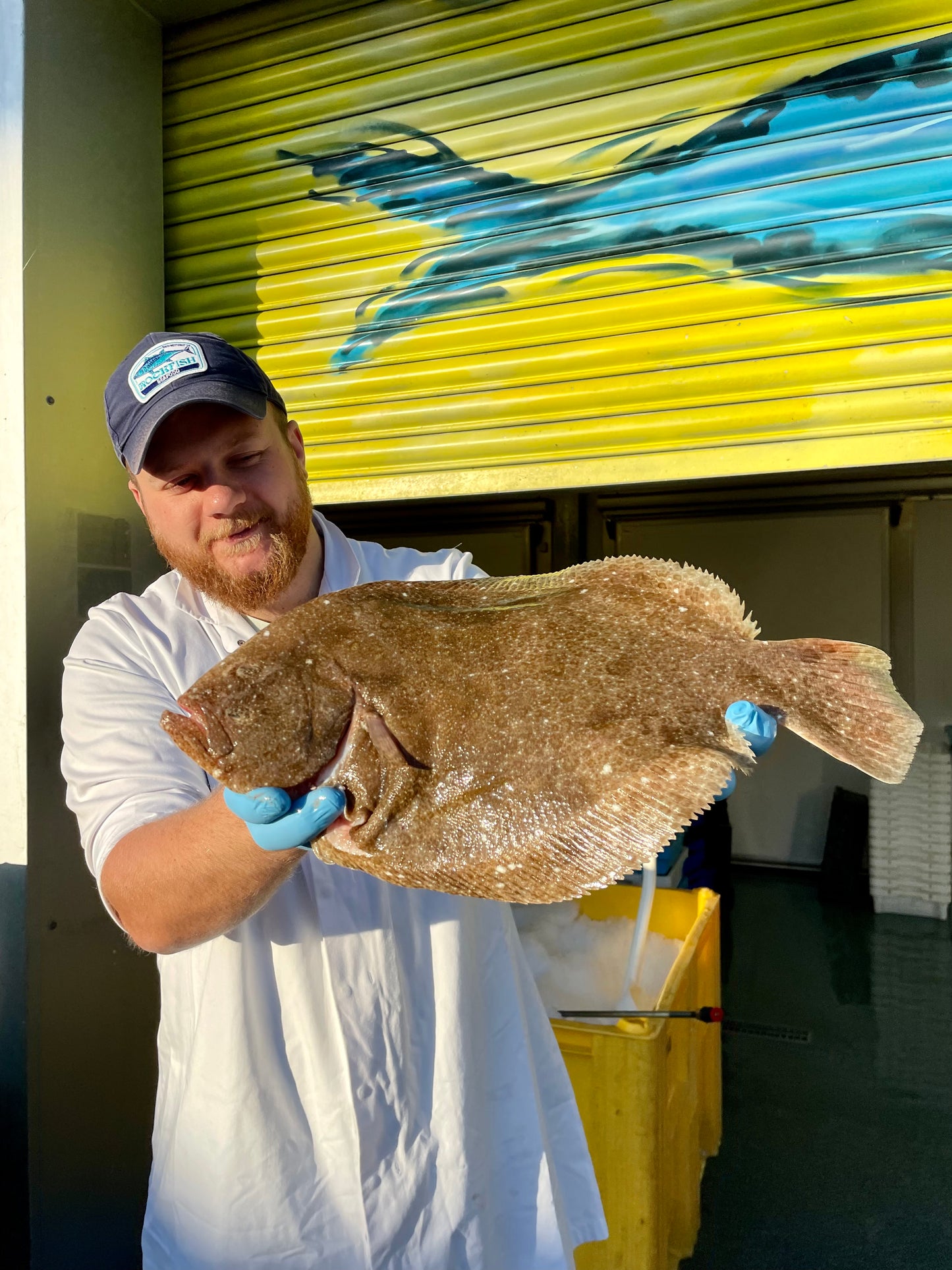 Market Pick - Brill 1kg