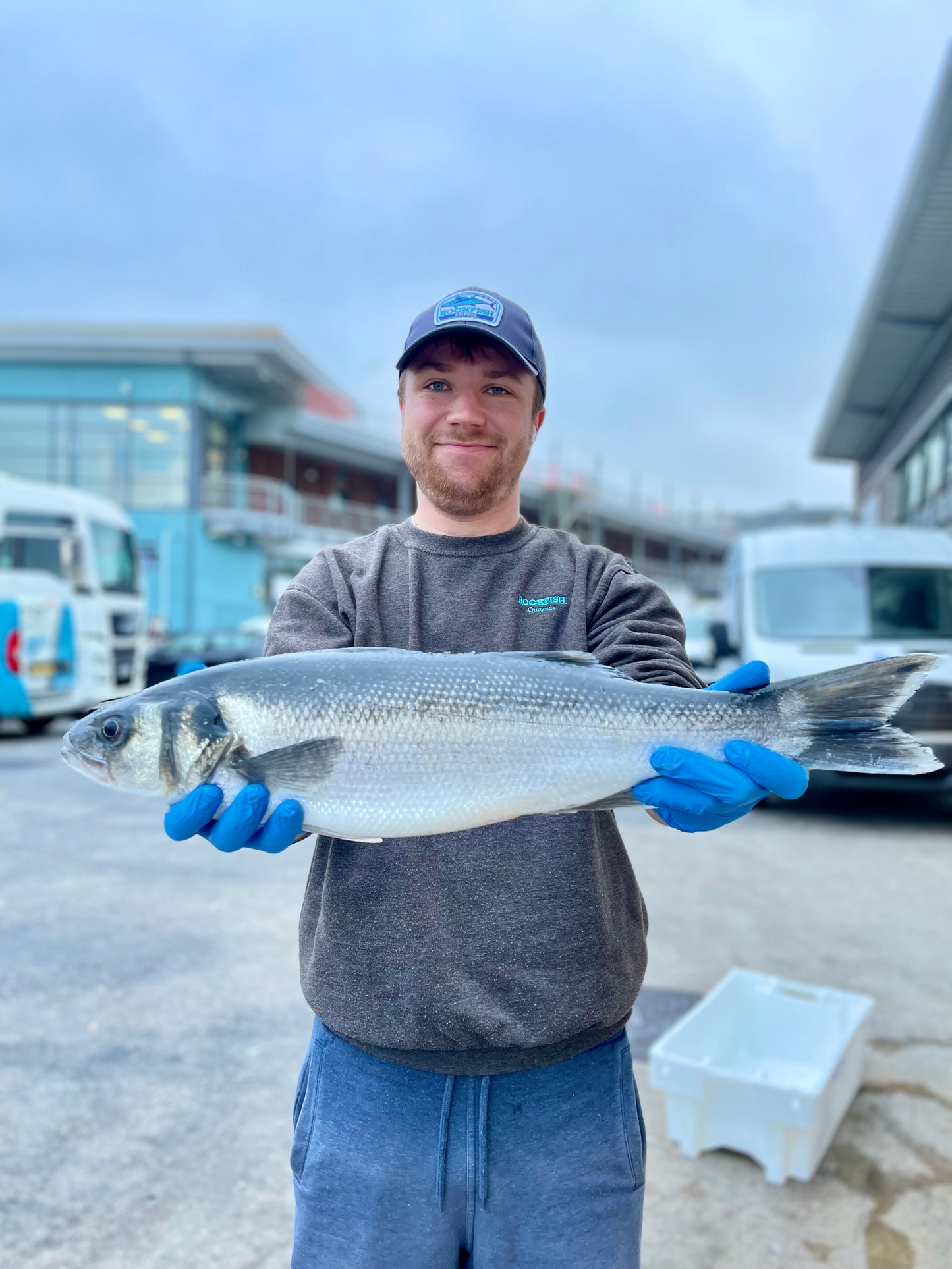 Market Pick - Sea Bass 1.9kg