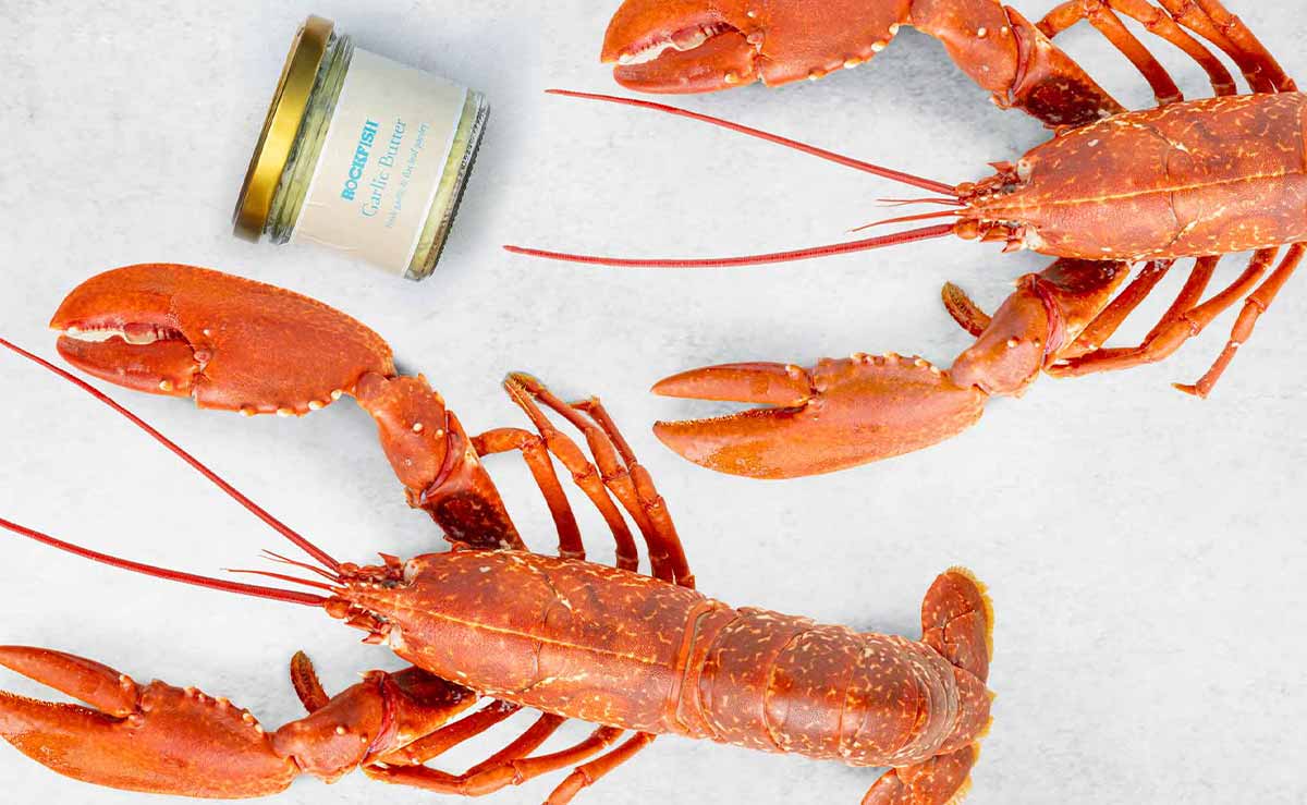 2 Lobsters with a free garlic butter - mobile