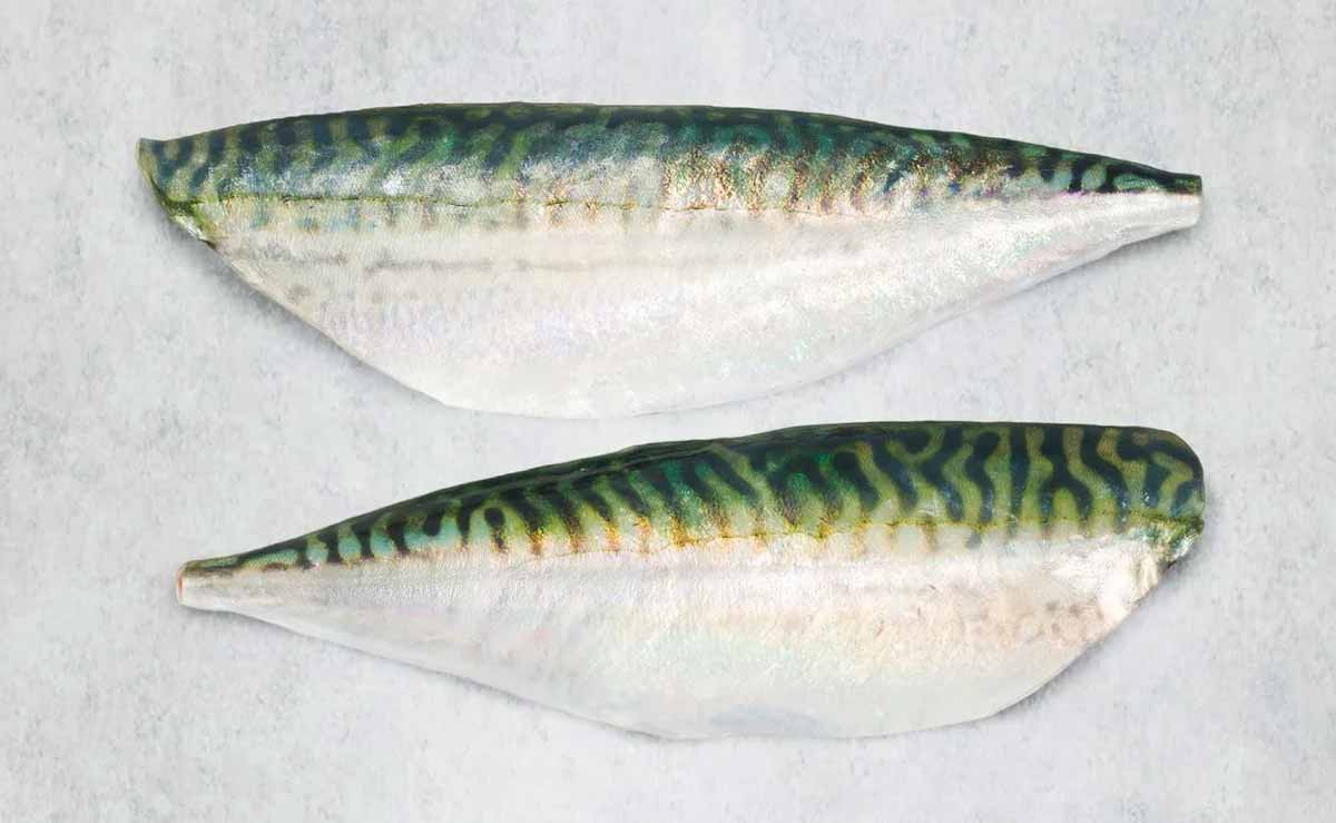 Fresh British mackerel fillets from Rockfish - mobile