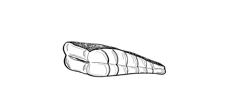 Fillet of fish icon