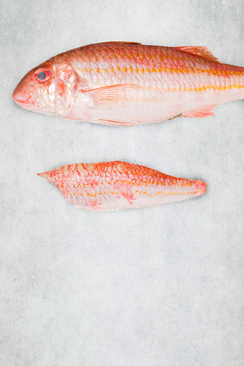 Fresh Red Mullet fillets Fresh sustainable fish delivered next day