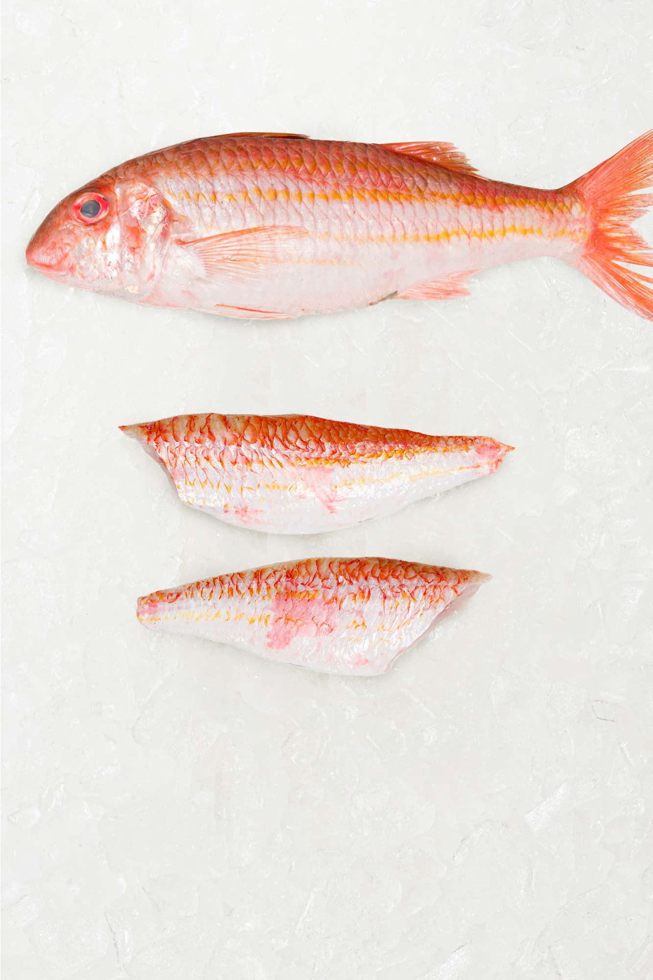 Frozen Red mullet fillets on ice