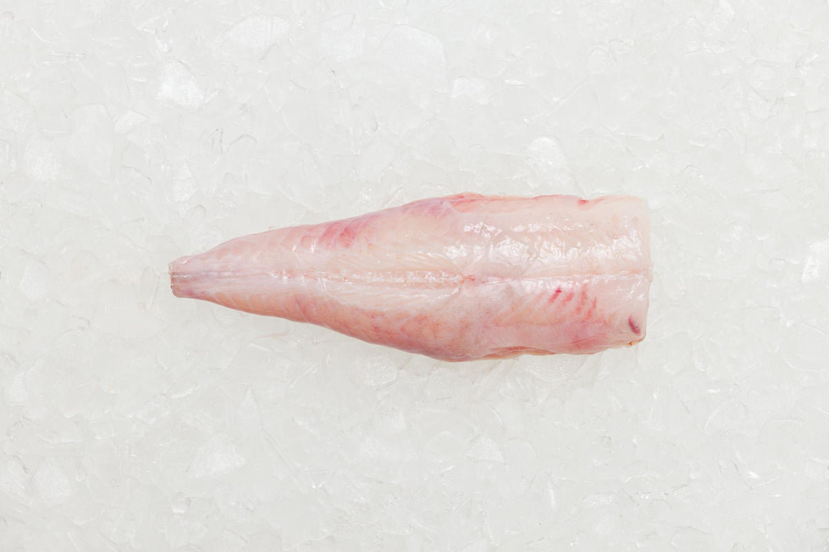 Monkfish Whole Tail Frozen Rockfish