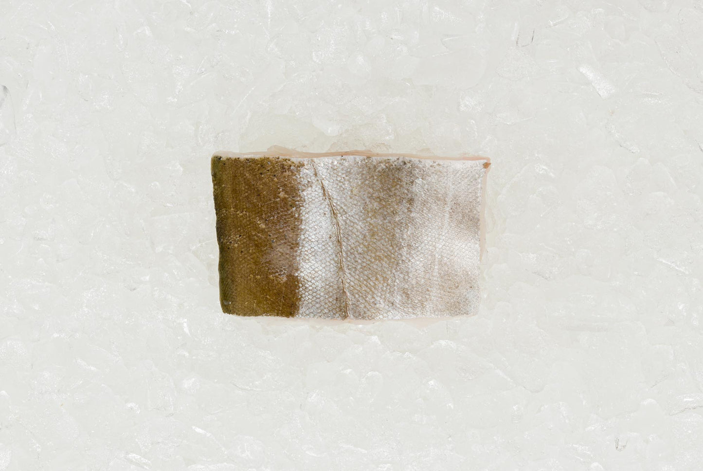 Frozen British Pollack - mobile