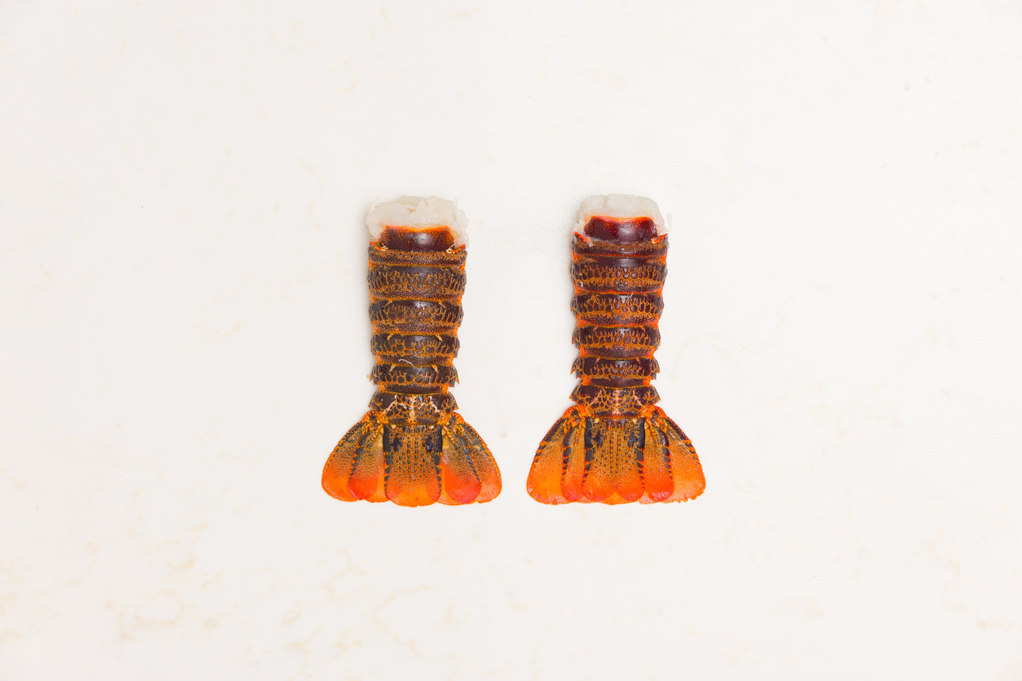 2 Spiny Lobster Tails - Rockfish seafood at home the online fishmonger portion