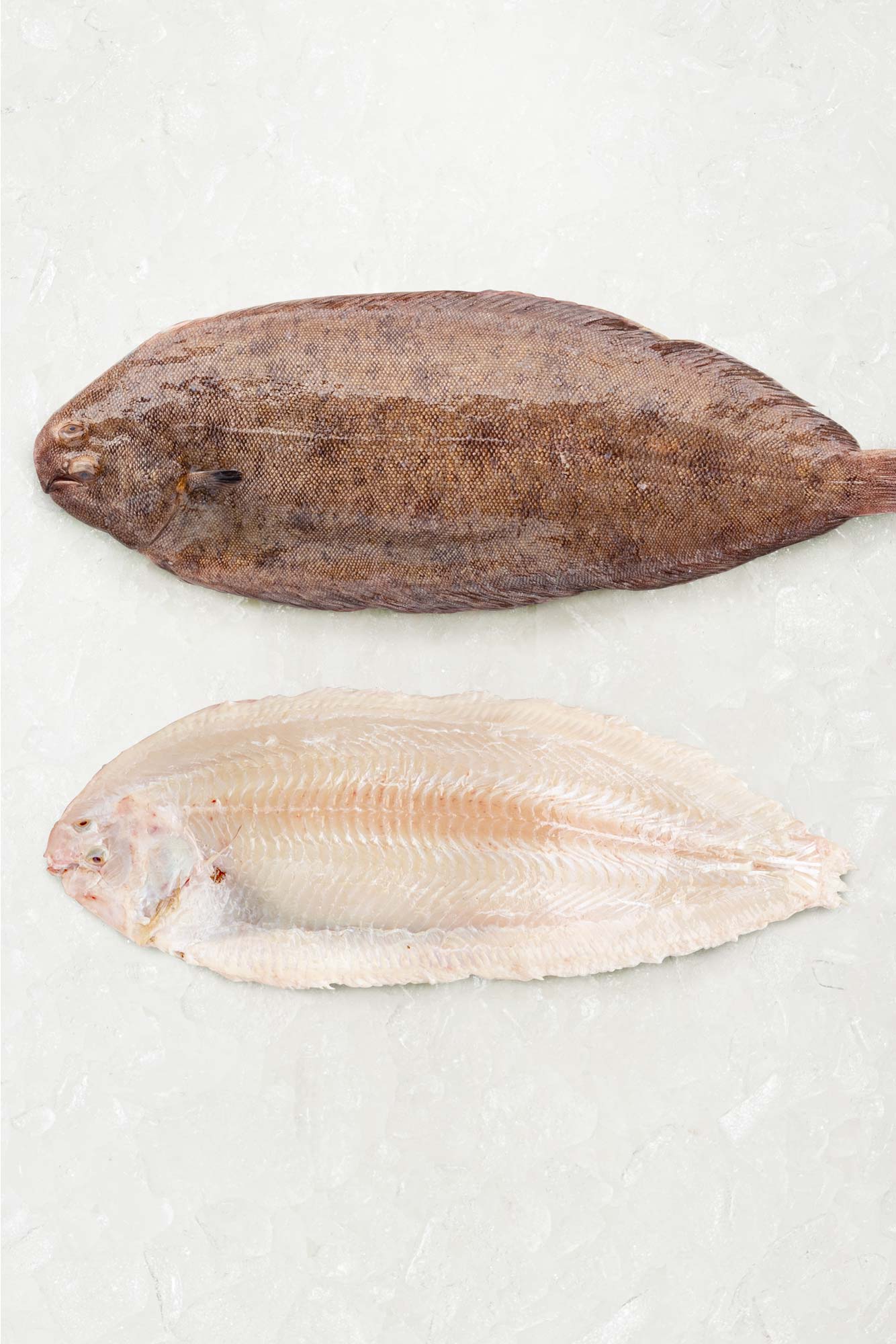 Frozen Dover sole