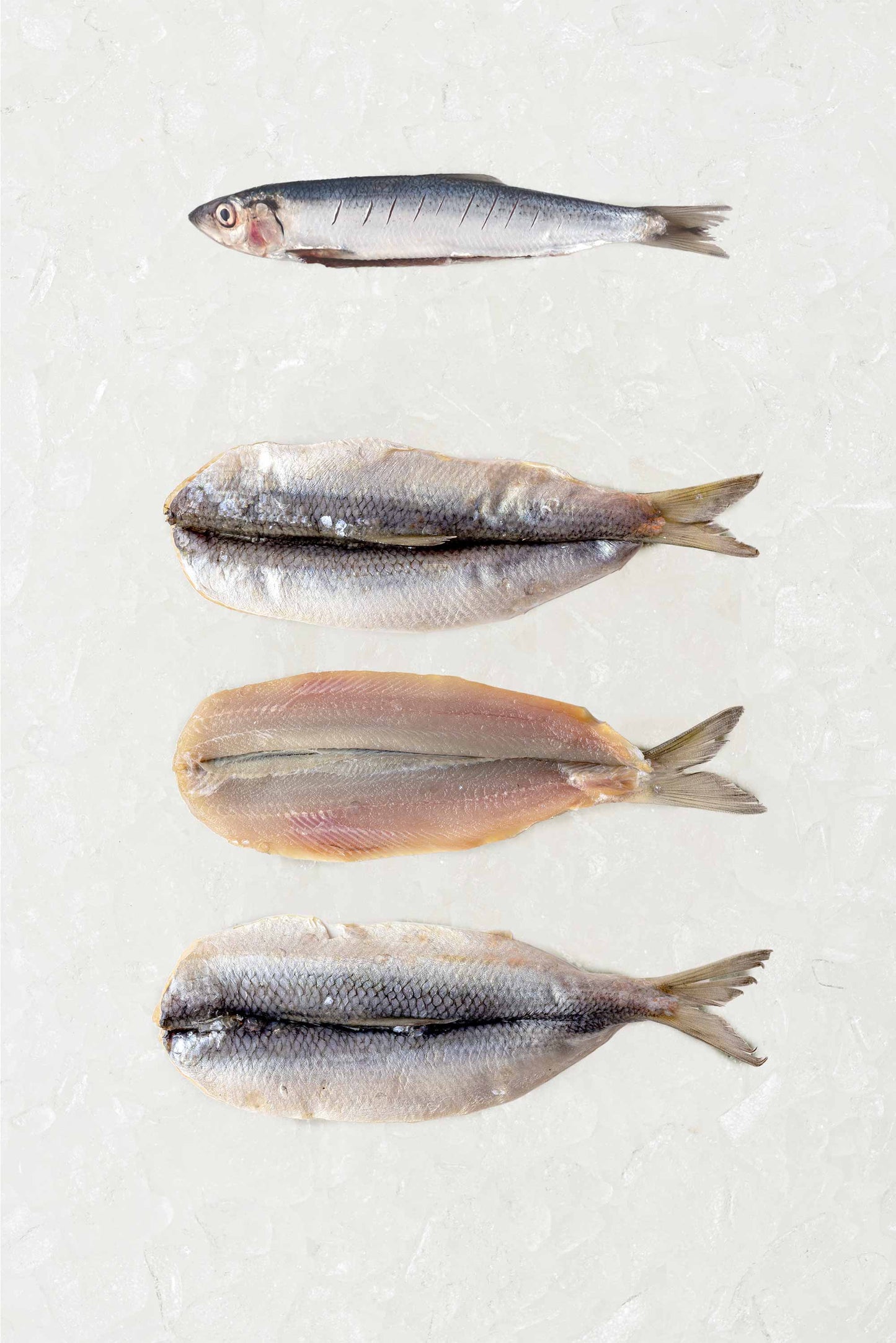 Butterflied Herring - Frozen