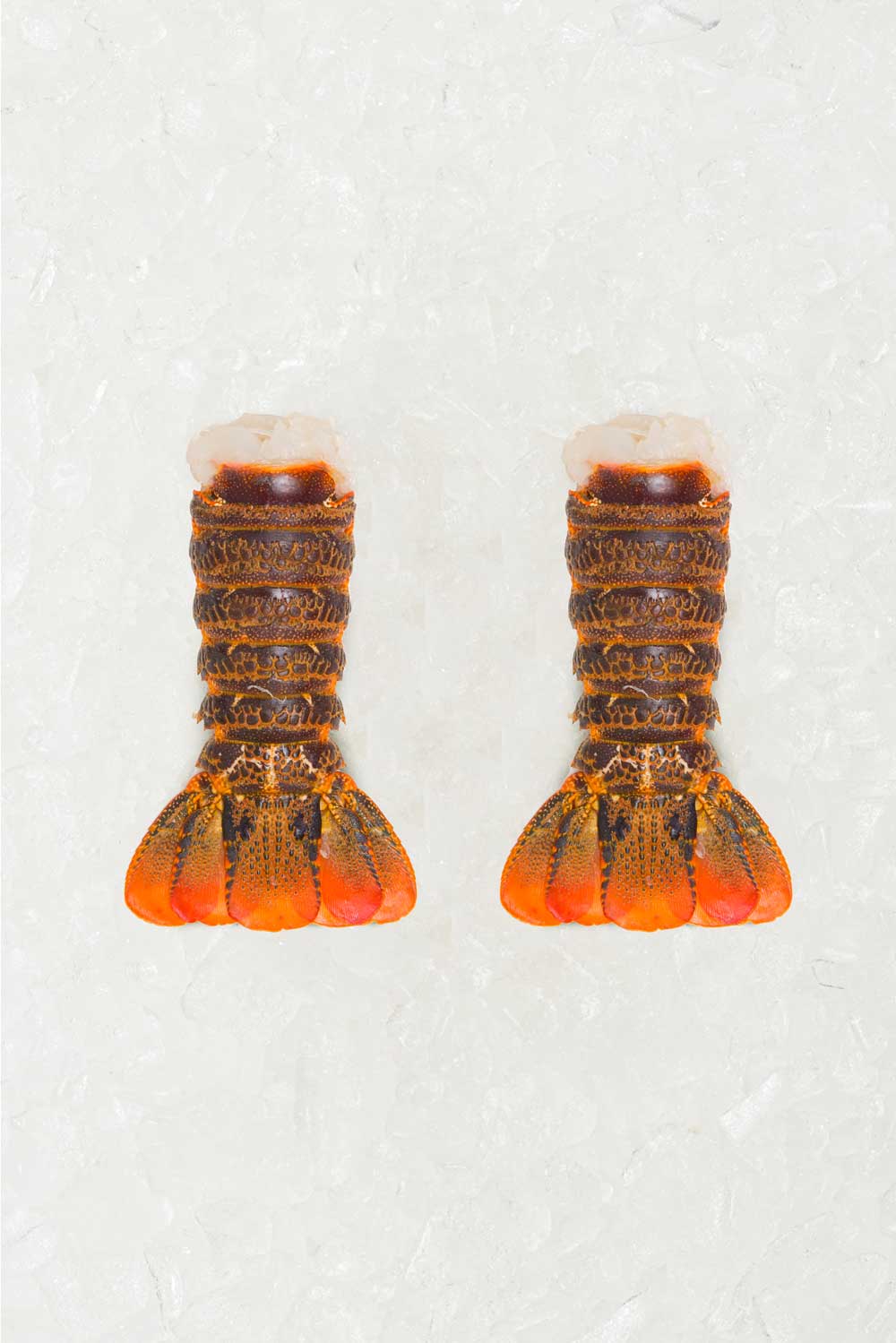 2 Spiny Lobster Tails - Rockfish seafood at home the online fishmonger portion