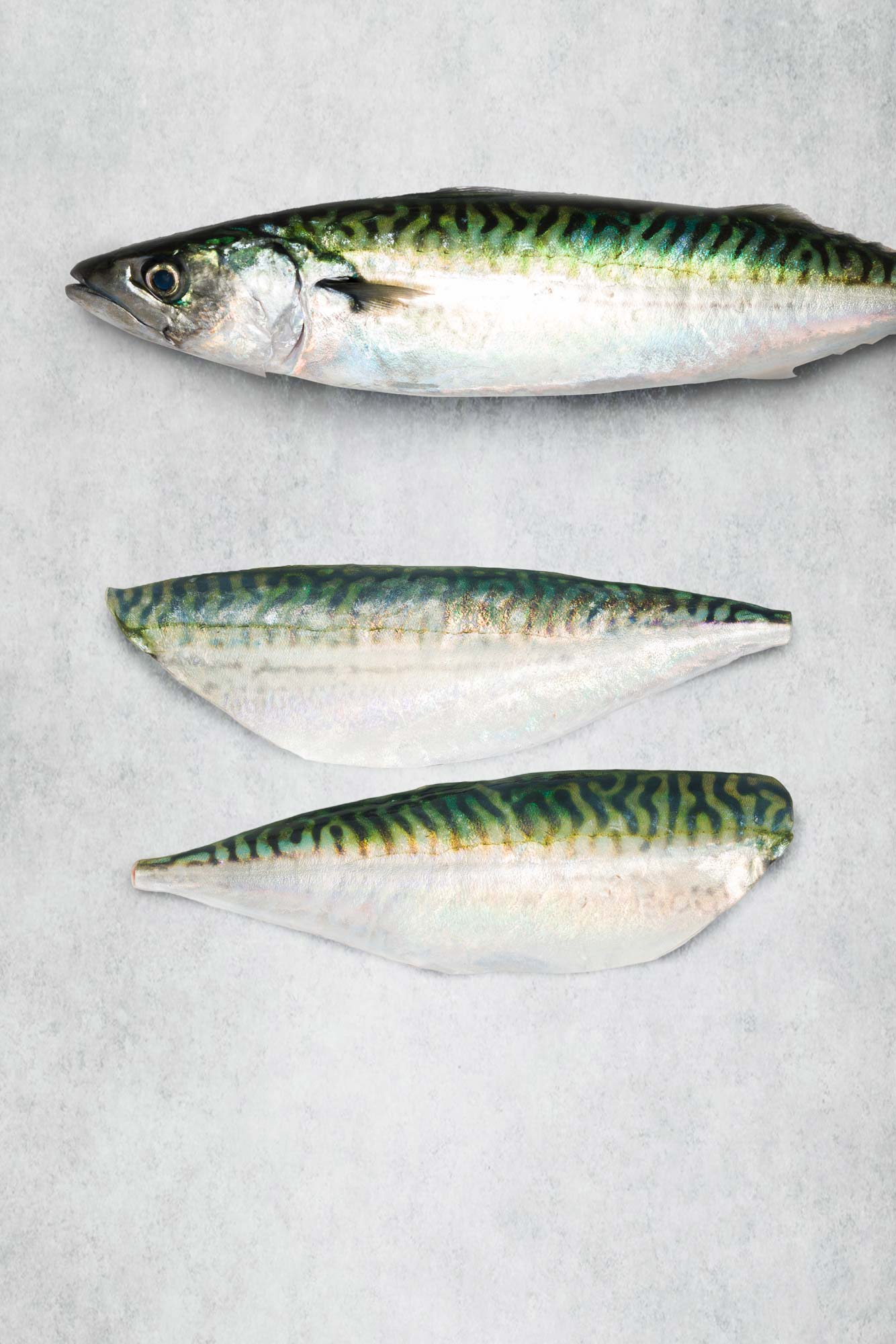 Fresh Mackerel fillets