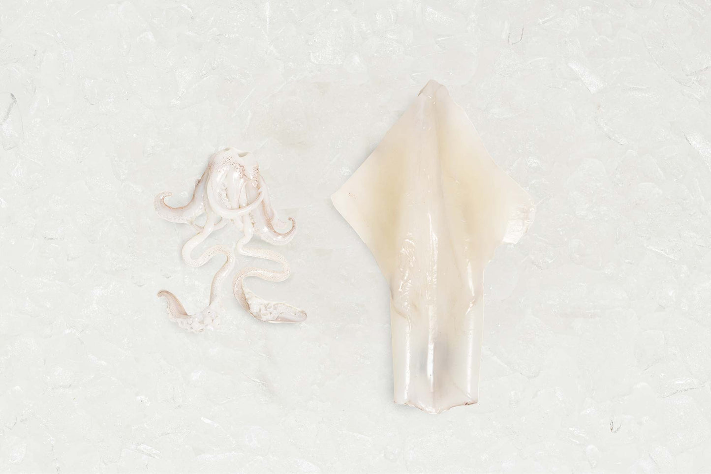 Torbay Squid - Rockfish seafood at home the online fishmonger portion - mobile