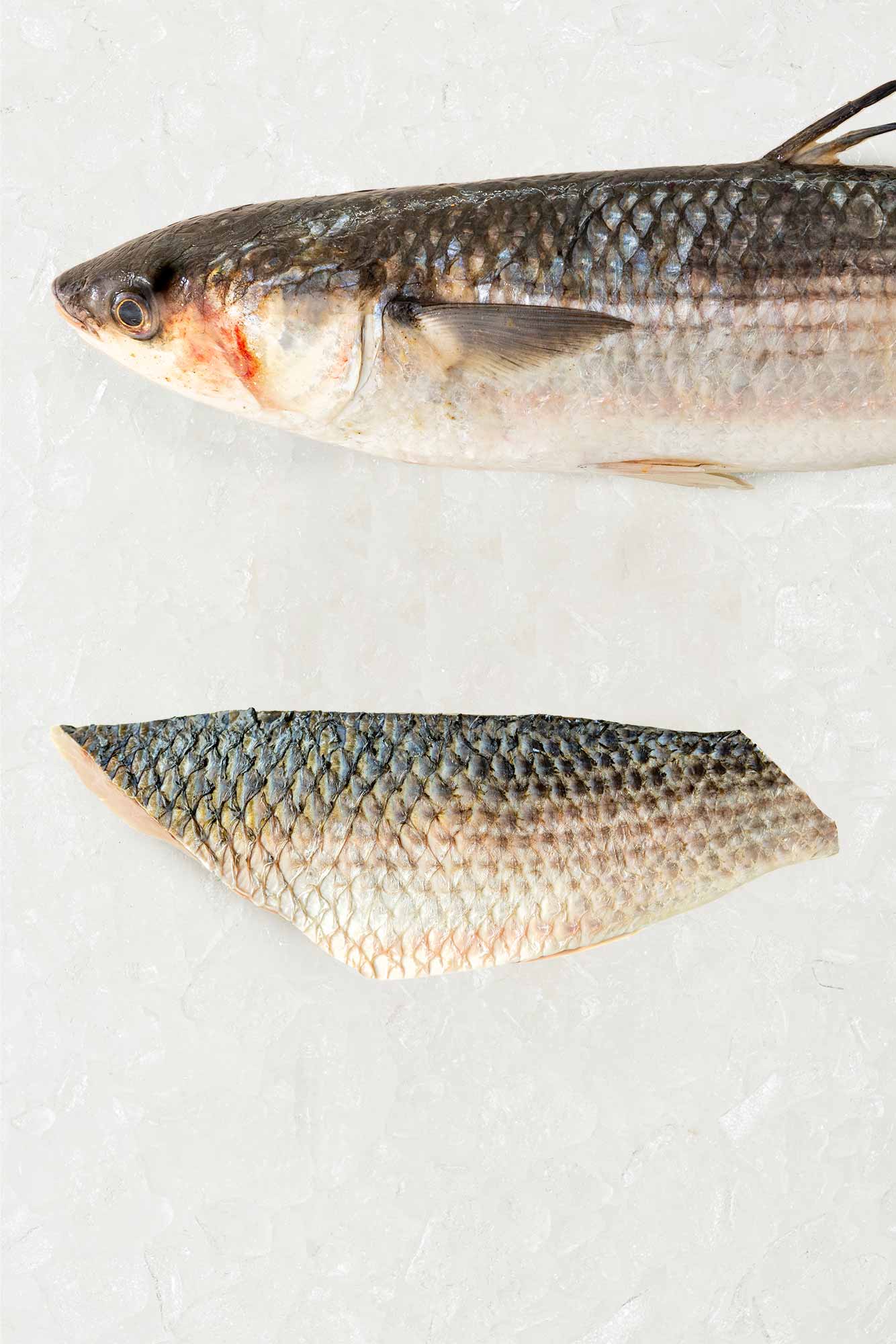 Frozen Silver Mullet fillet