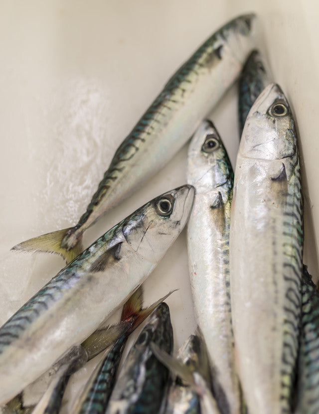 A pitstop to the future: the world’s first Virtual Fishmonger