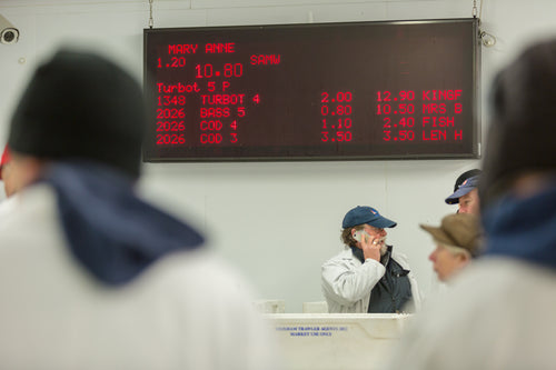 Brixham Commercial Fish Auction