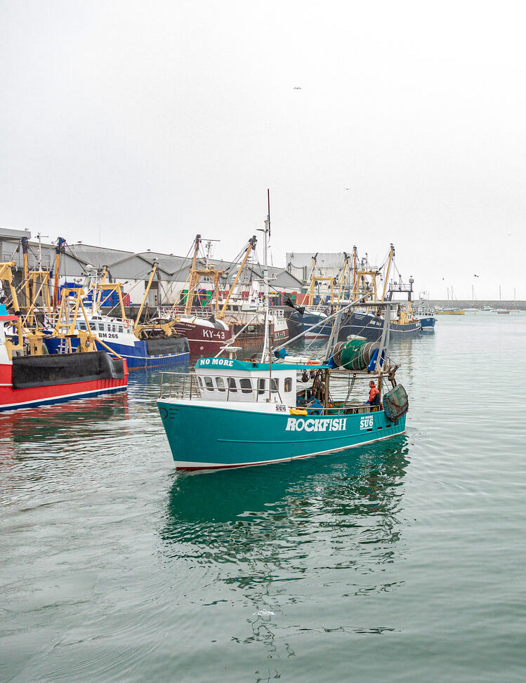 Introducing the Skipper's Log