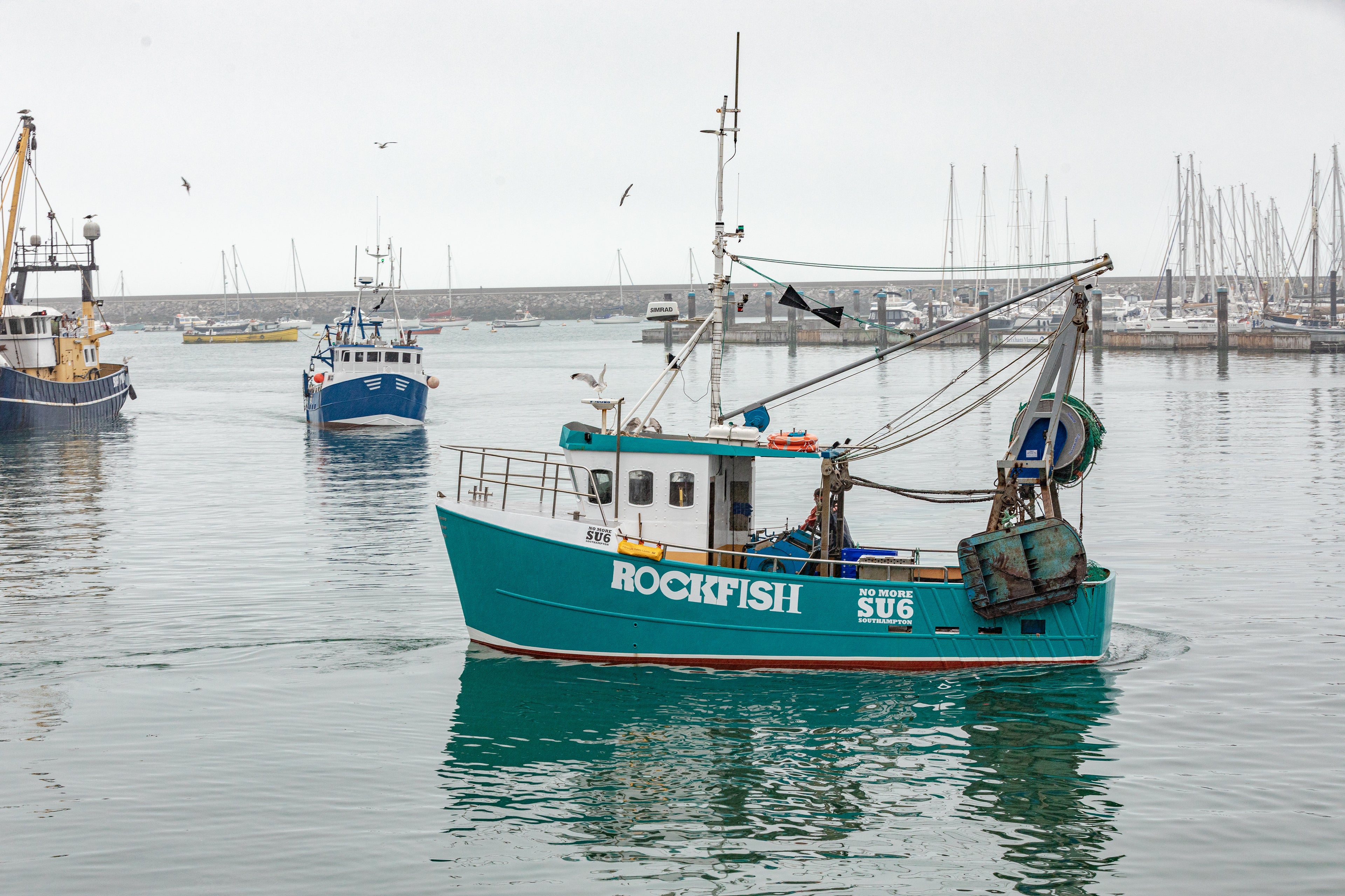 OUR BOAT ROCKFISHER – Rockfish