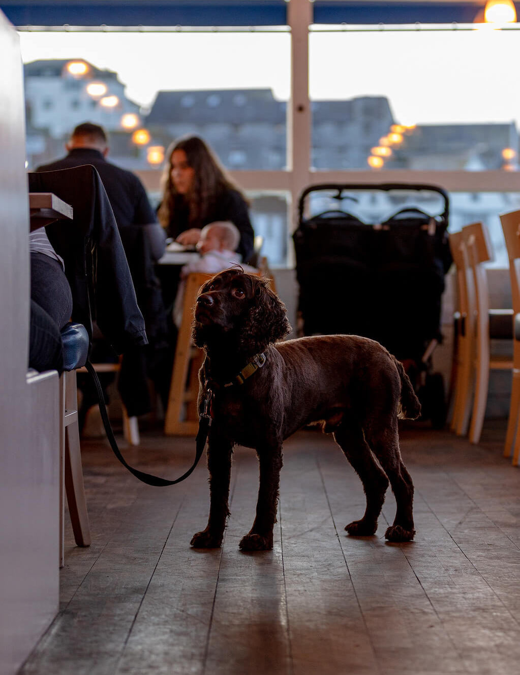Best dog friendly beaches in Dorset