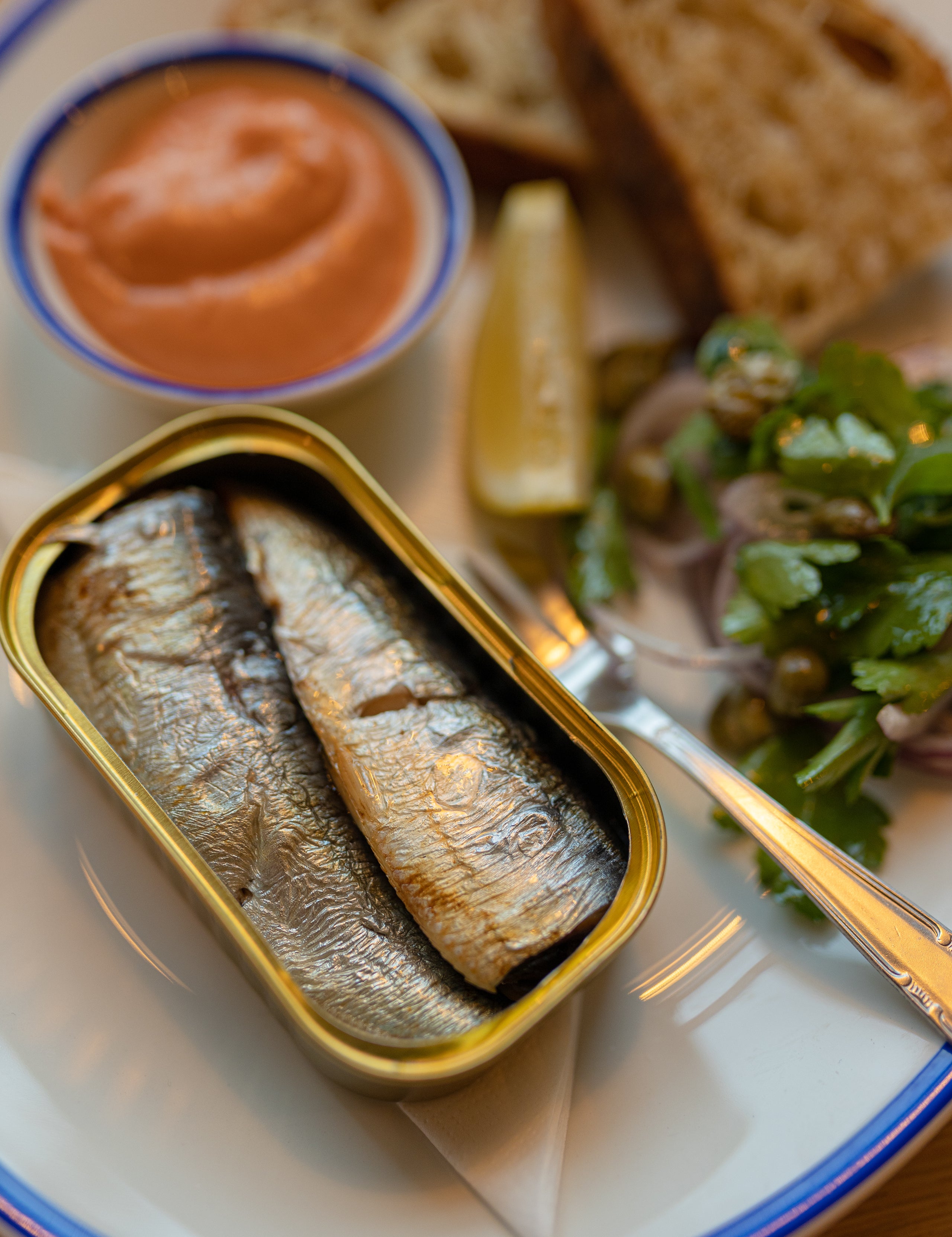 Rockfish Sardines