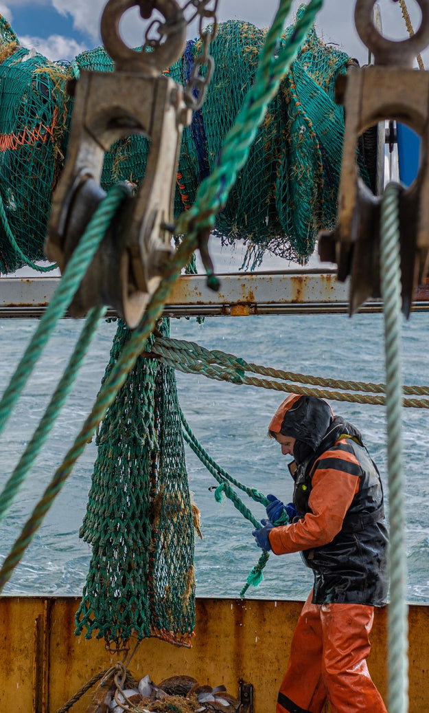 Casting our net wider for the most sustainable seafood on the planet