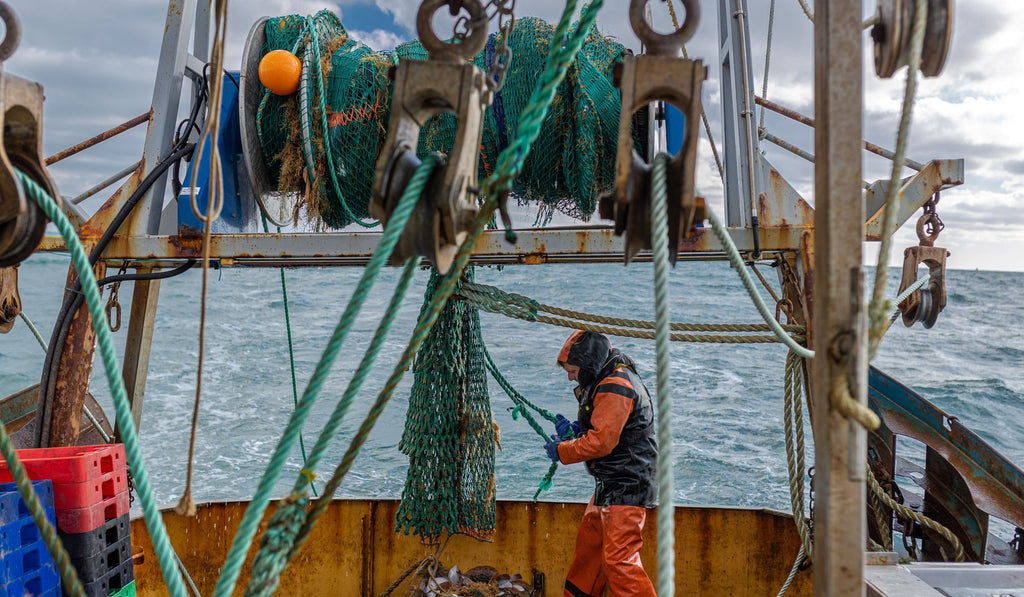 Casting our net wider for the most sustainable seafood on the planet