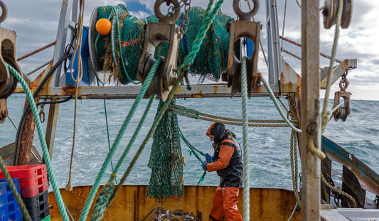 Casting our net wider for the most sustainable seafood on the planet