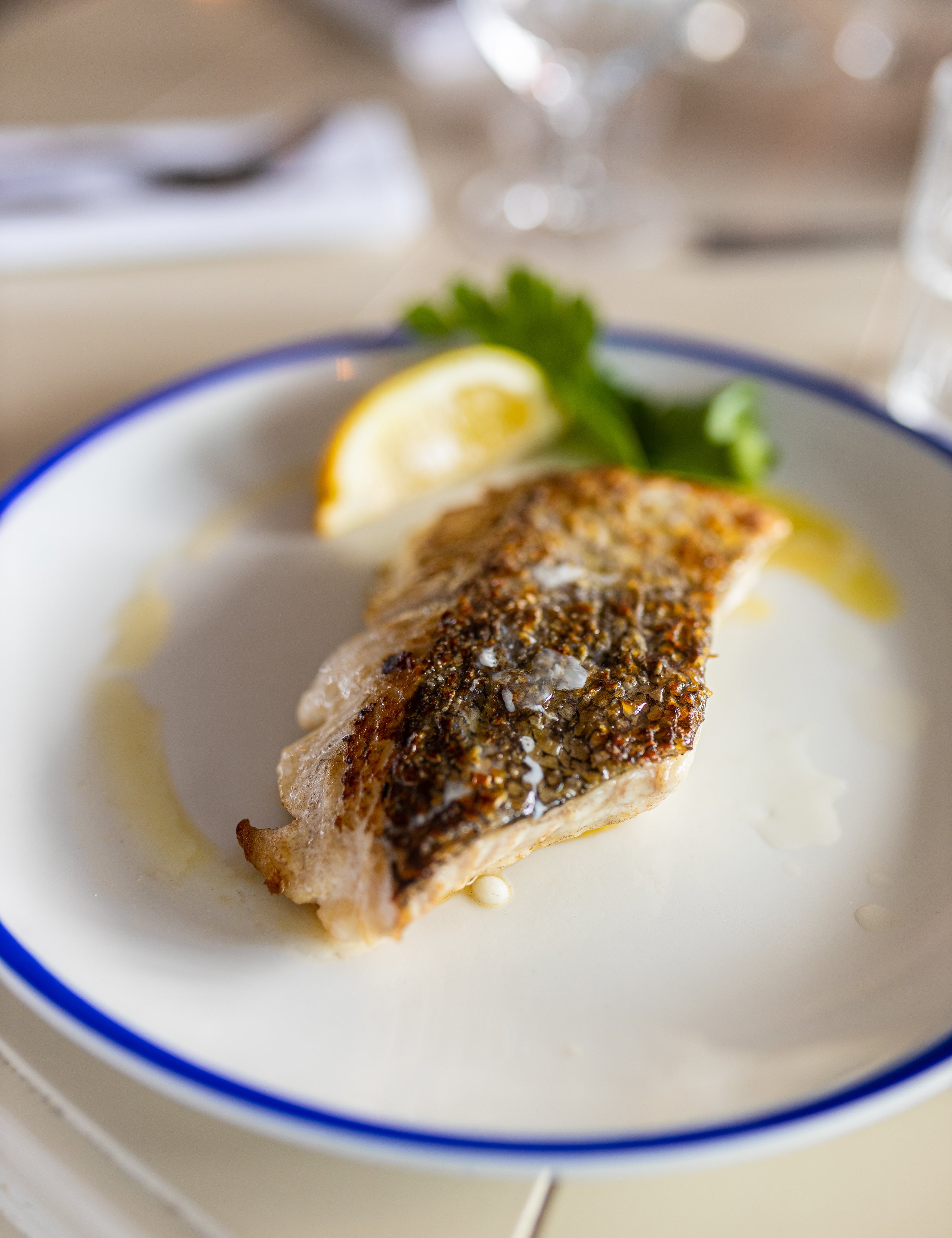 Grilled Hake