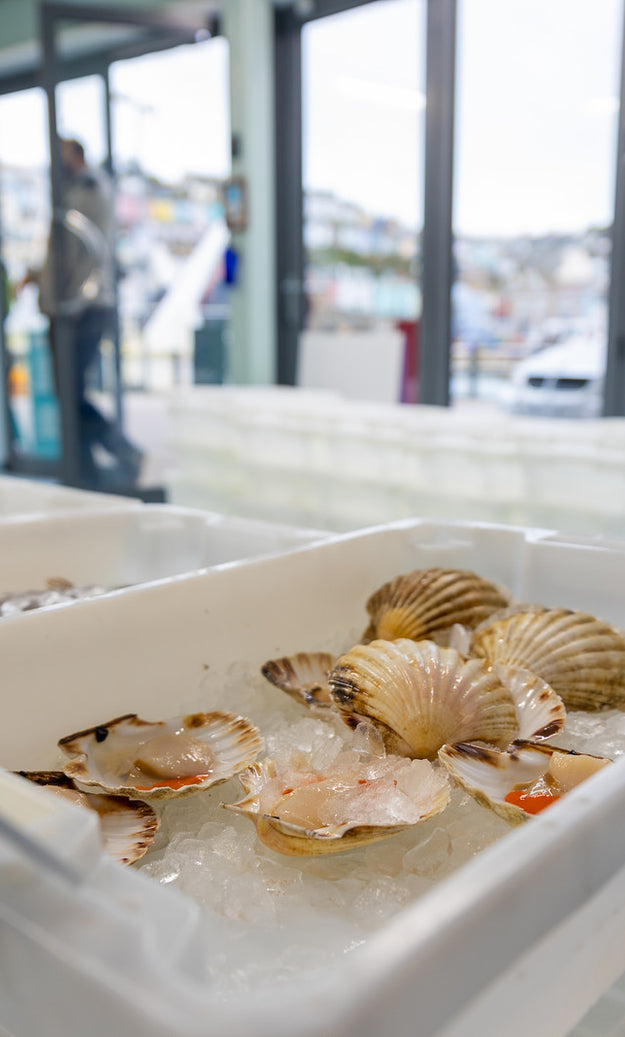 Brixham Fishmonger ~ Buy fresh seafood