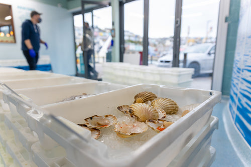 Brixham Fishmonger ~ Buy fresh seafood