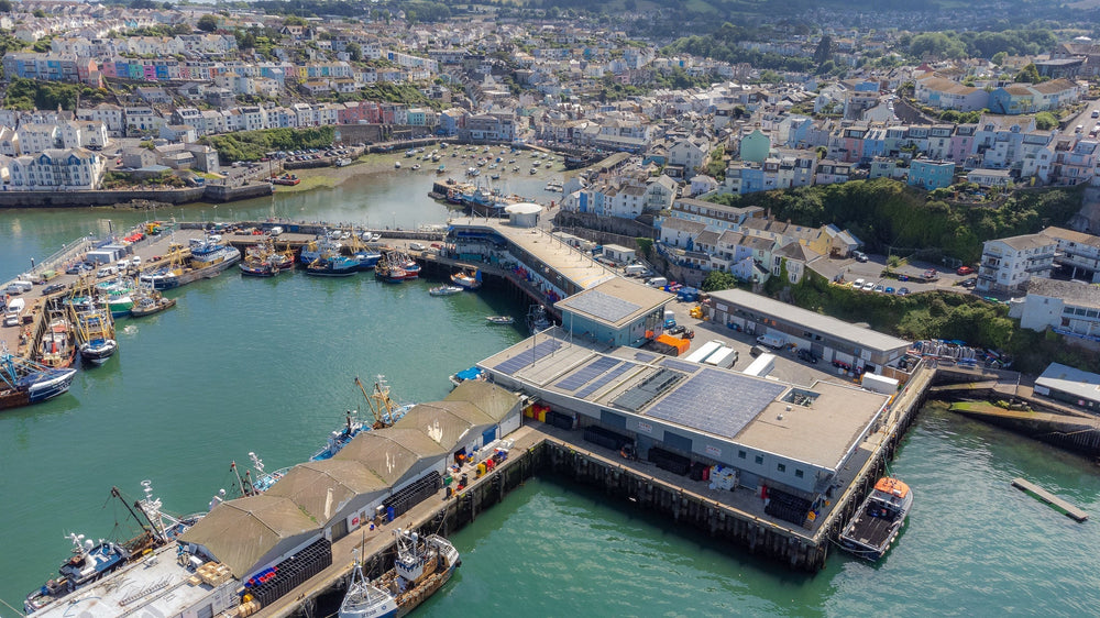Brixham Fish Market Tours