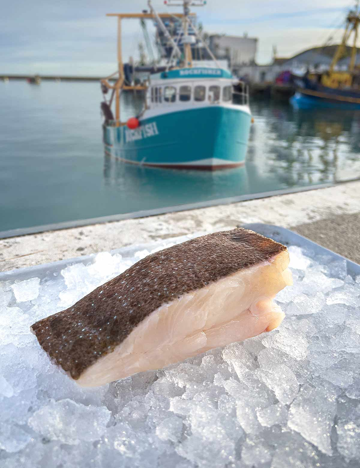 The Cold, Hard Truth: Debunking The Myths About Frozen Fish