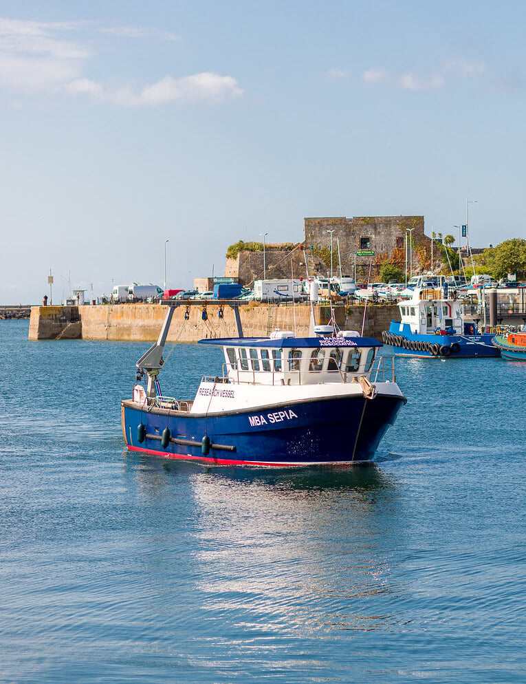 Things to do in Plymouth in spring
