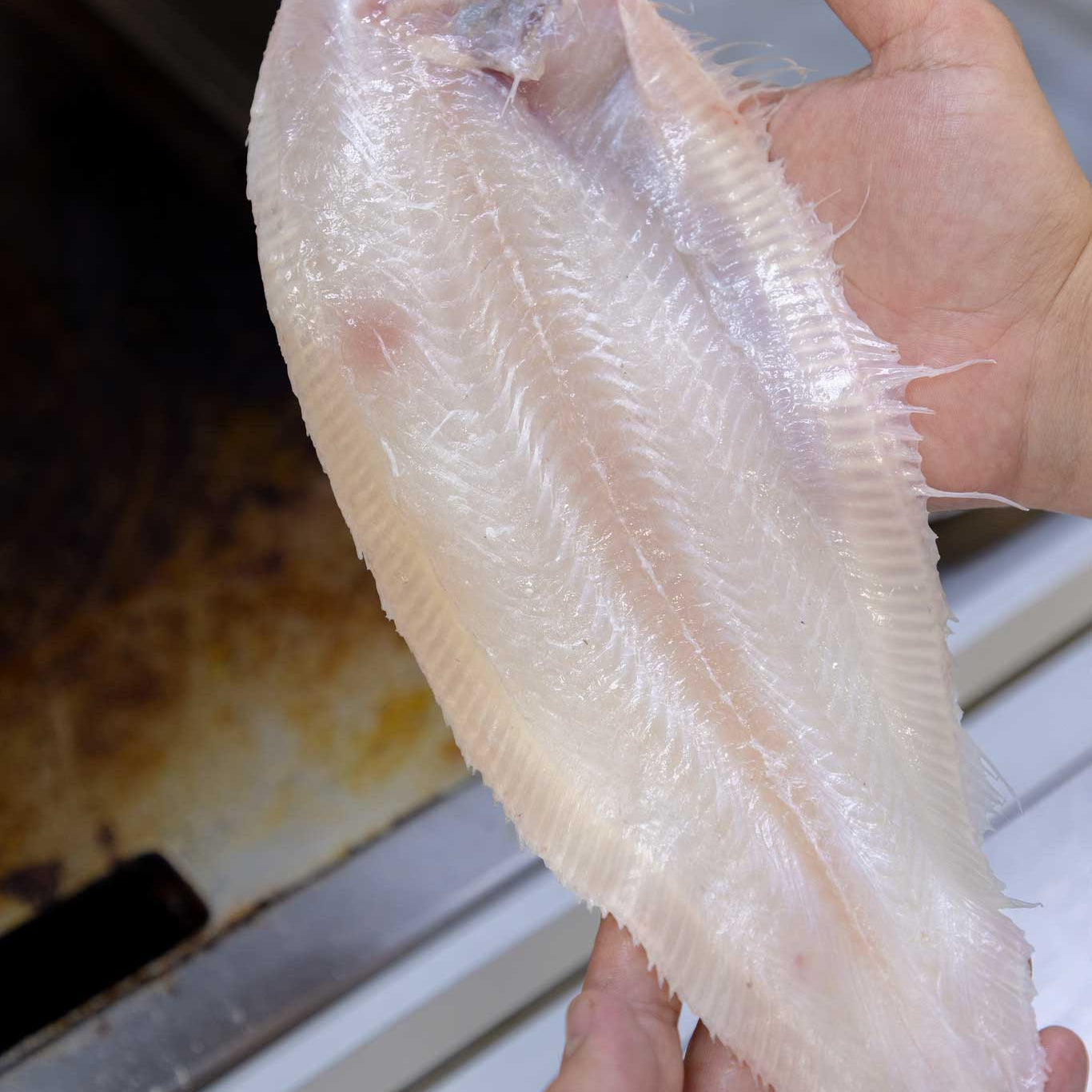 Dover Sole in Brixham