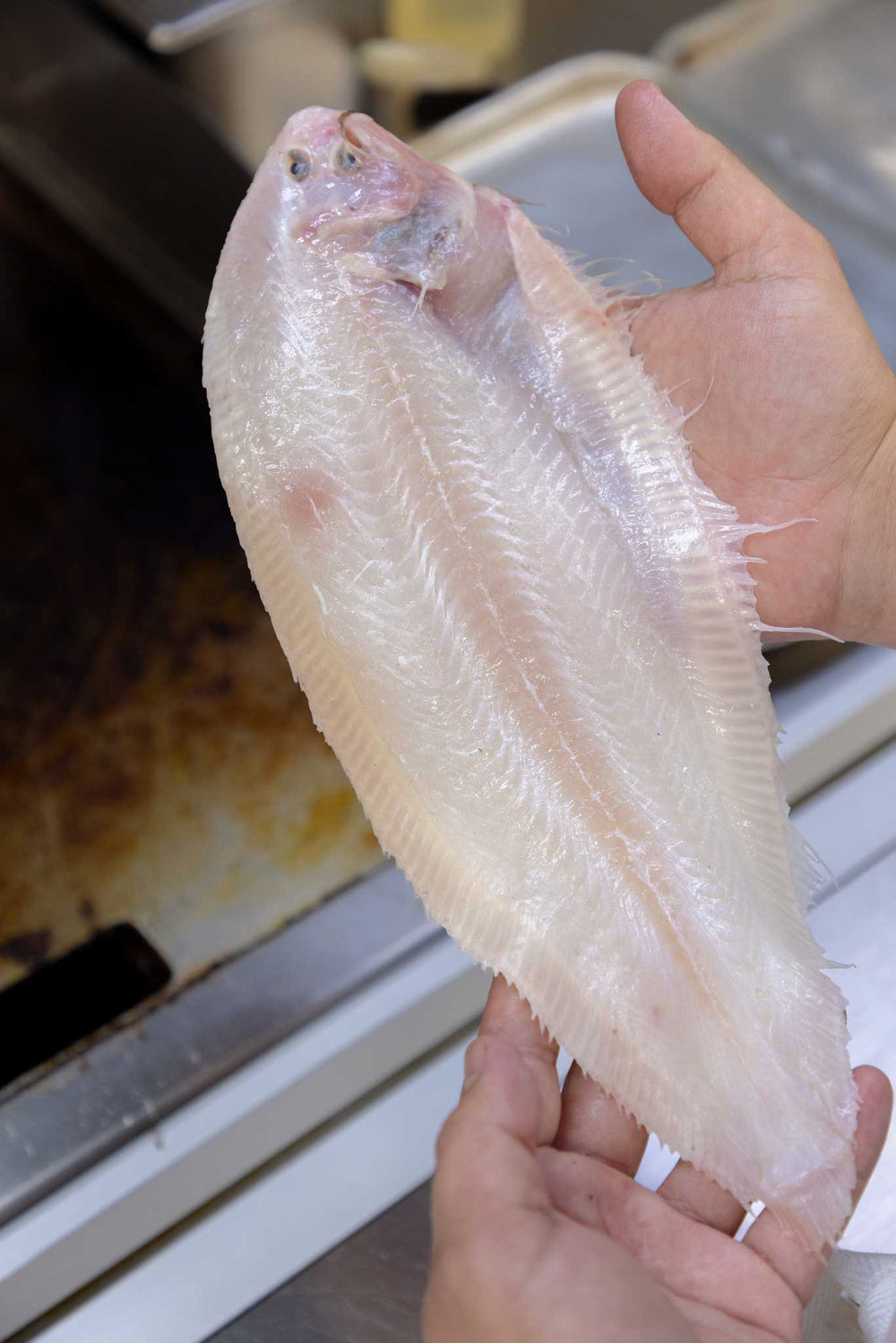 Dover Sole in Brixham