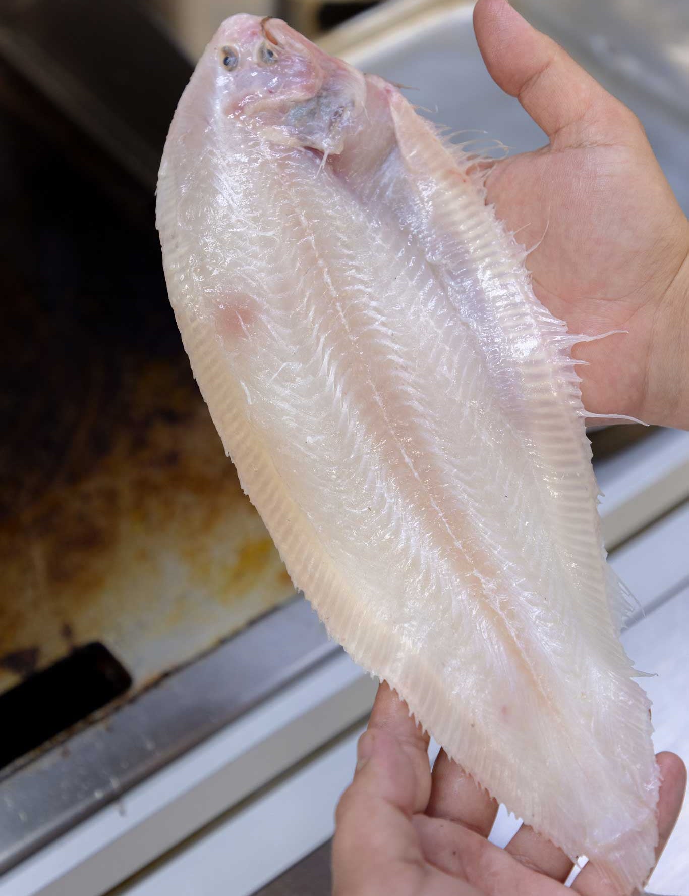 Dover Sole in Brixham