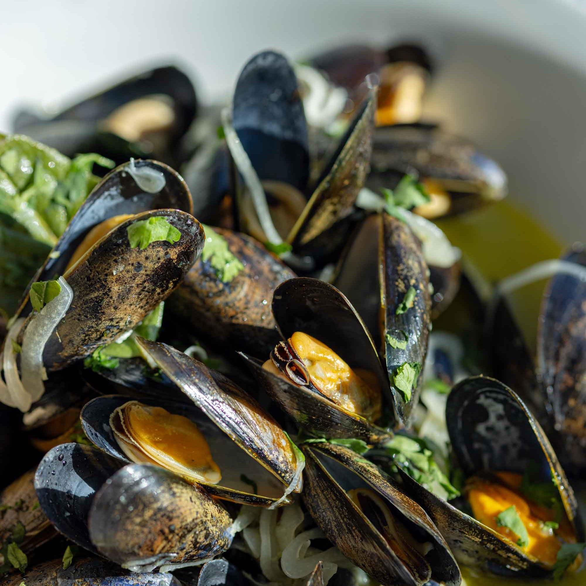 Close up of mussels at Rockfish