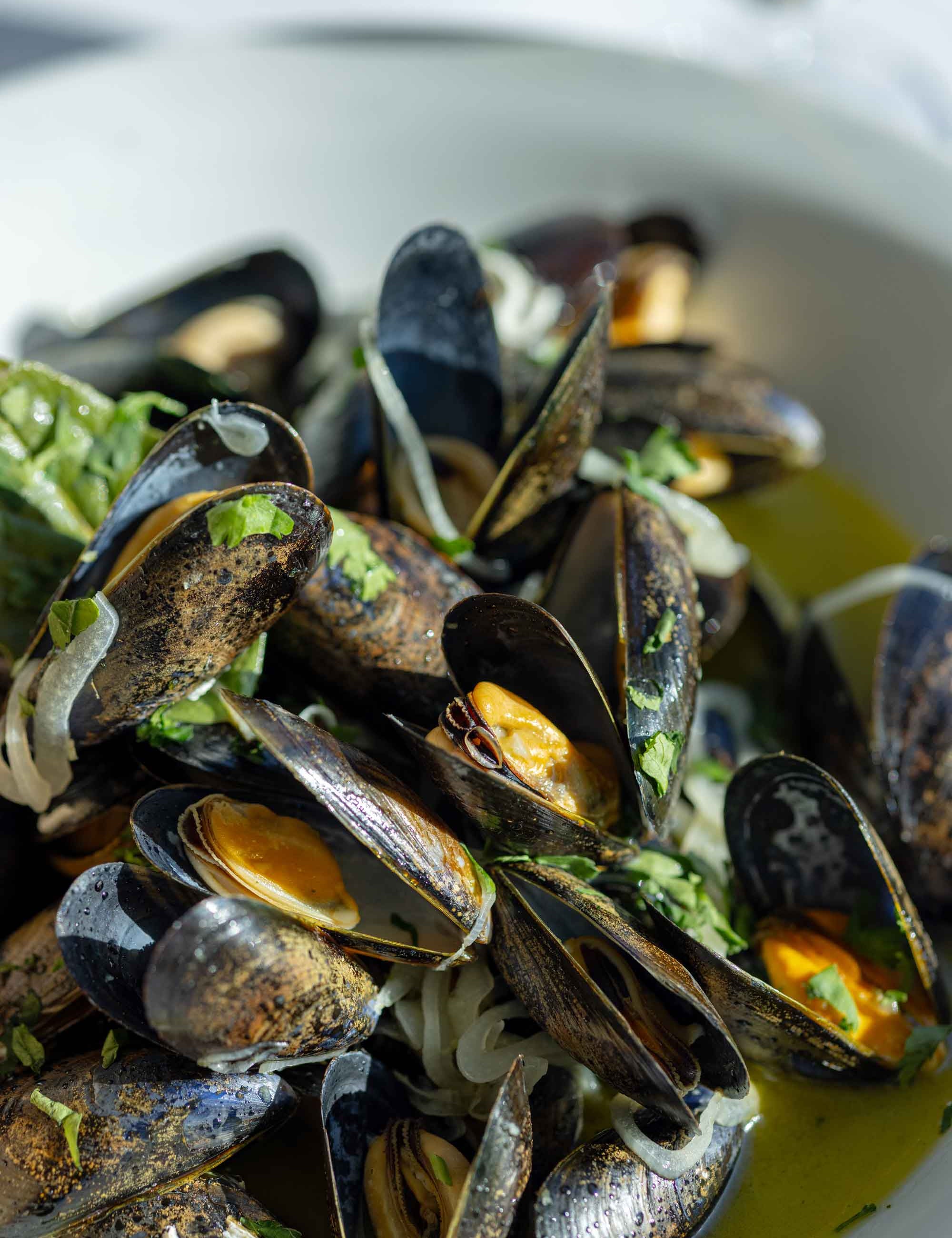 Close up of mussels at Rockfish